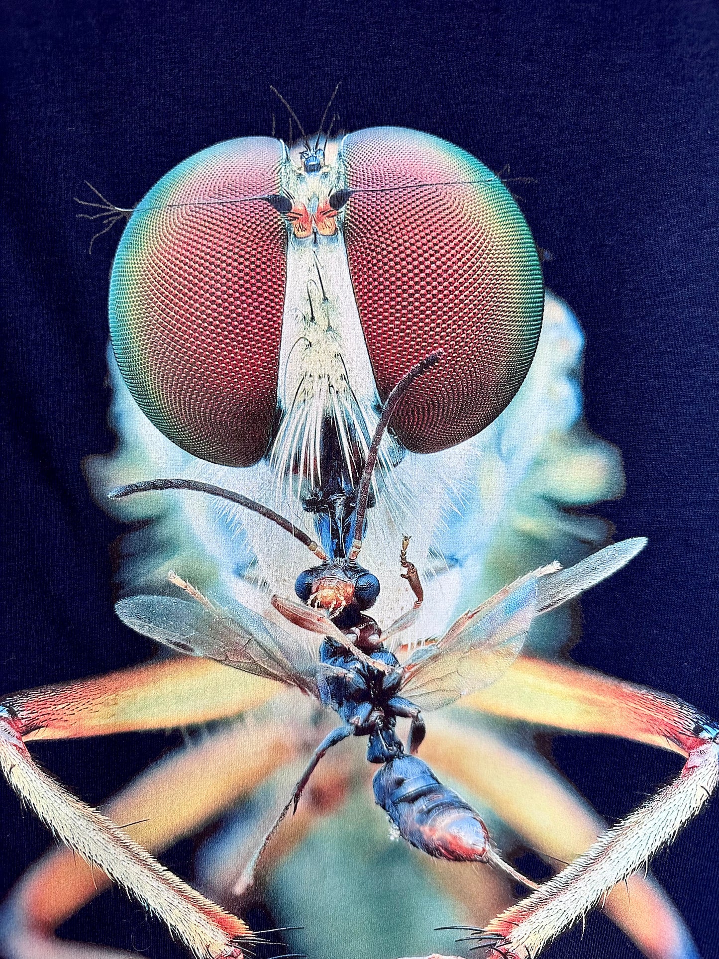 Robber Fly by MOSES - Men's Black - Navy - DTF Printed T-Shirt Macro Apparel